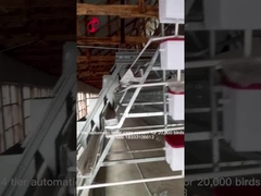 96 Ptaki Automatyczne wyposażenie klatek dla kur Klatka na baterie dla kur niosek w Nigerii Iris