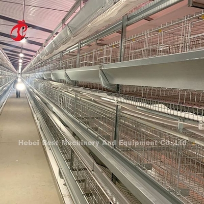 Gorąco podgrzewany system klatki dla drobiu Biała warstwa gospodarstwo ptasie Adela