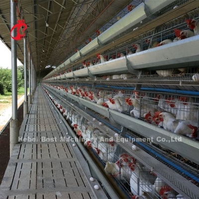 System klatek bateryjnych typu A lub H dla 1000 do 20000 ptaków ferma drobiu Iris