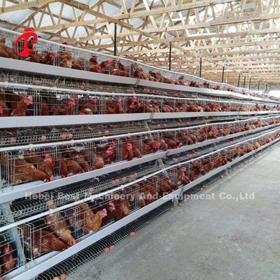 Galwanizowany system klatek bateryjnych typu A typu 120 Wielowarstwowy system Doris