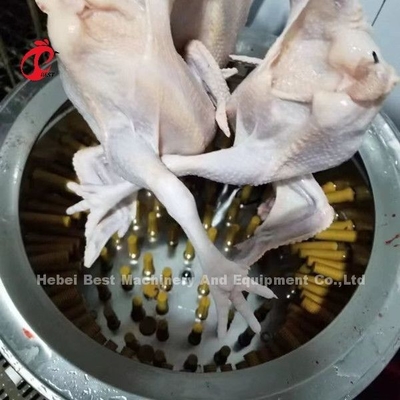 Ubojnia farmy drobiu 1100w Maszyna do skubania piór kurczaka w Nigerii Doris