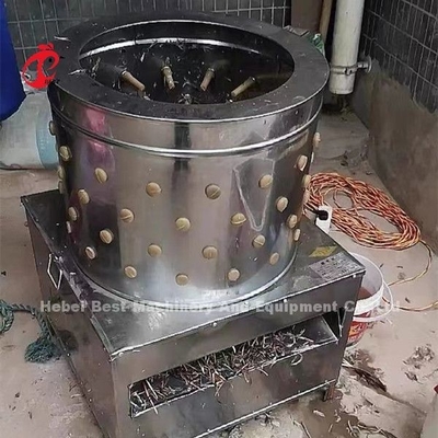 Ubojnia farmy drobiu 1100w Maszyna do skubania piór kurczaka w Nigerii Doris