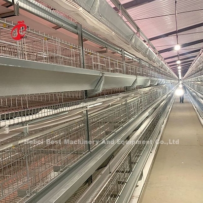 Klatka z baterii ze stali nierdzewnej dla kurczaków 432cm2 Ptak Adela