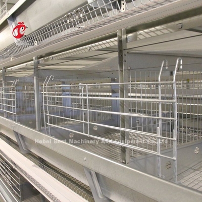 2.2m System klatki z baterią do 120-200 kurczaków Adela