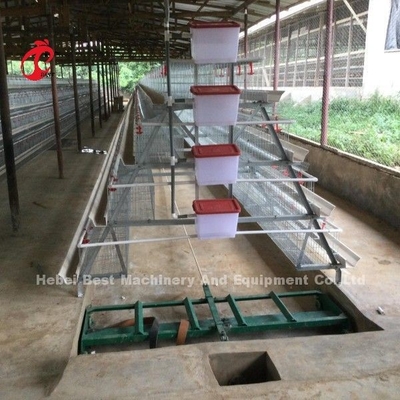 2.2m System klatki z baterią do 120-200 kurczaków Adela