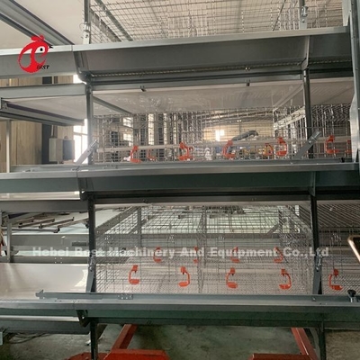 2.2m System klatki z baterią do 120-200 kurczaków Adela