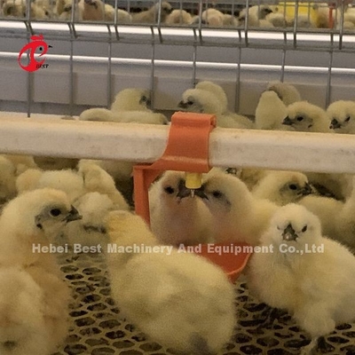 Praktyczny 380V kurczak lęgarka klatka na dzień Stara warstwa hodowcy kurczaków w Afryce Farm Iris