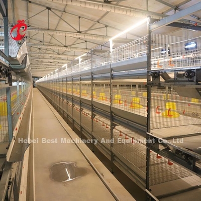Praktyczny 380V kurczak lęgarka klatka na dzień Stara warstwa hodowcy kurczaków w Afryce Farm Iris