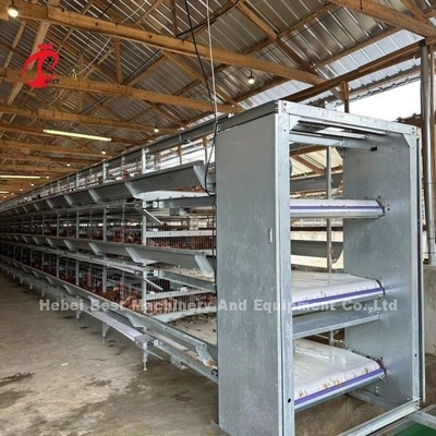 Automatyczna klatka bateryjna dla kurczaków warstwowych 160 dla fermy drobiu Emily