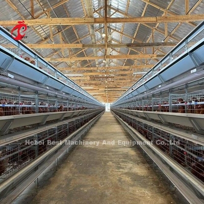 120 ptaków Pojemność Klatki bateryjne dla drobiu Automatyczna farma niosek A lub H Doris