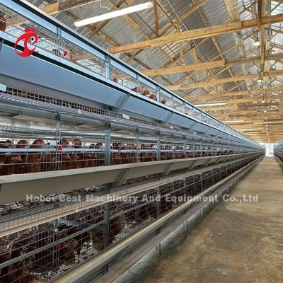 120 ptaków Pojemność Klatki bateryjne dla drobiu Automatyczna farma niosek A lub H Doris