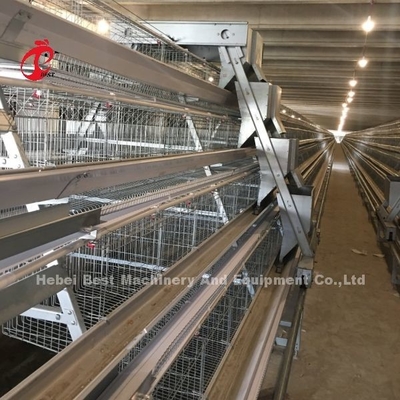 3/4/5 Poziom system klatki bateryjnej dla automatycznej warstwy kurczaków