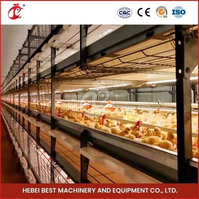 96-128 Kurczaki Broiler Kurczak Klatka całkowicie automatyczna Mia