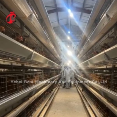 Niezawodne baterie dla kurczaków, kurczaków, klatki dla kurczaków, 7 poziomów
