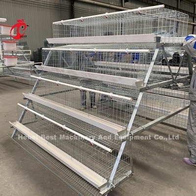 A &amp; H Chicken Cage Equipment For Raising Chickens Farm Doris
