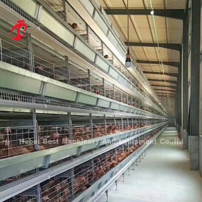 Modułowy system klatki drobiowej dla gospodarstw warstwowych Gorąco pogrzebanego galwanizowanego klatki baterii pojemność 96-200 ptaki piaskowe