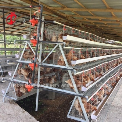 3 Poziom 120 ptaków i 4 Poziom 160 ptaków System klatki bateryjnej dla Ugandy Tanzanii