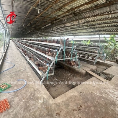 System klatki bateryjnej warstwy 3 lub 4 dla 500-1000 ptaków