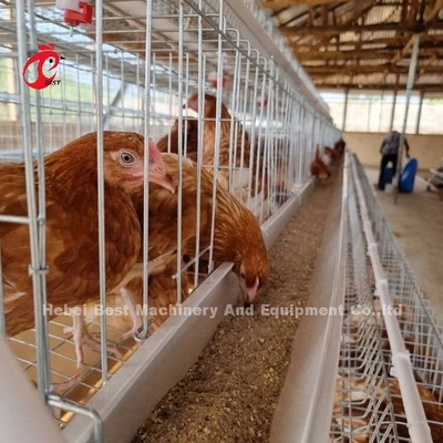 China Factory Battery Layer Cage 5-poziomowa z wyposażeniem do drobiu na rynek afrykański Sandy