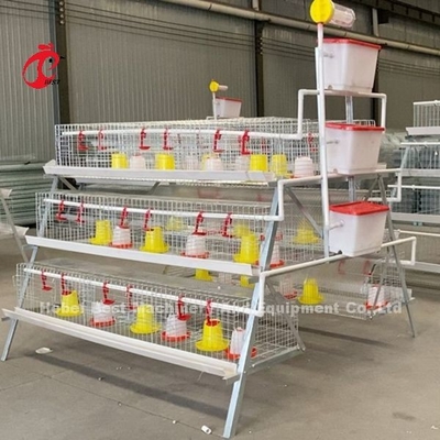 Premium Poultry Farm A Type Pullet Chicken Cage Battery Klatka dla kurczaków Iris