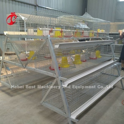 Premium Poultry Farm A Type Pullet Chicken Cage Battery Klatka dla kurczaków Iris