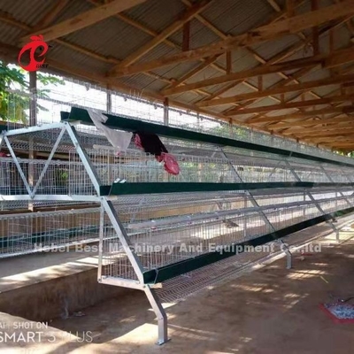 System klatek bateryjnych ocynkowanych ogniowo do hodowli drobiu Q235 Steel Emily