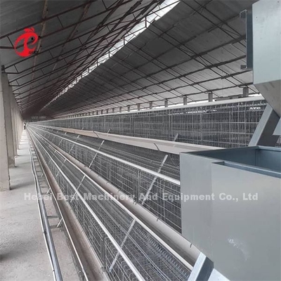 2022 Hot Sale Battery Drobiu Layer Cage, powlekane A Frame Layer Cage 25 lat Emily