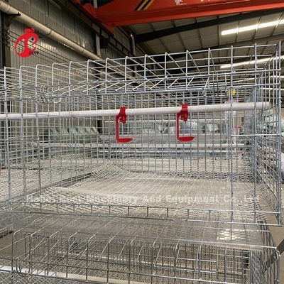 Poultry Farm Brojler Chicken Cage 3 poziomy, klatka typu A dla brojlerów Doris