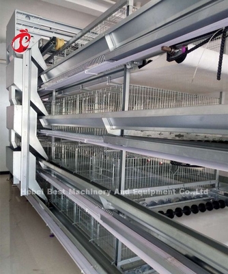 Automatyczny sprzęt do hodowli drobiu typu H System hodowli kurcząt dla kurcząt Sandy