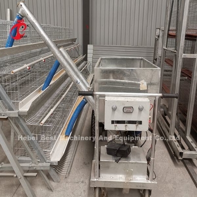Półautomatyczna klatka dla drobiu 15000 ptaków Ręczna klatka dla drobiu w Nigerii Iris