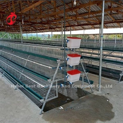 Klatka na baterie typu premium H Cena w Nigerii stabilna Iris
