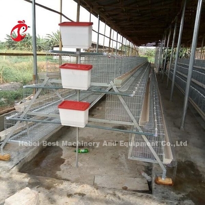 Chiny Importowana klatka bateryjna z kurczakiem powlekanym ISO9001, system warstwowych klatek dla kurczaków 4-drzwiowy Sandy
