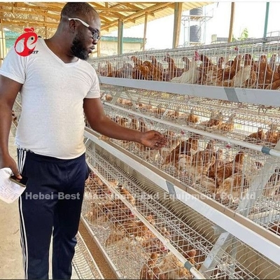 Automatyczna klatka warstwowa baterii, klatka do hodowli drobiu Nigeria Lagos Sandy