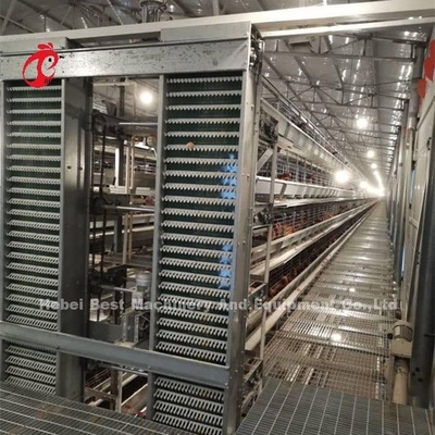 Gorąca, głęboko galwanizowana klatka dla drobiu dla 20 000 ptaków