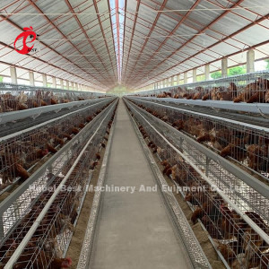 Uganda 4 poziomy klatka dla drobiu na sprzedaż Farm Chicken 100 KG Mia