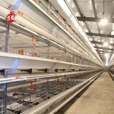 W pełni automatyczna klatka na baterie Cena w Nigerii Warstwa typu H Mia