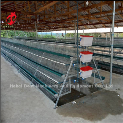 Komercyjny system klatek na baterie kurczaka 2,0 m * 2,0 m * 1,45 m W Nigerii Star