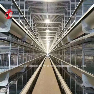 Klatka na baterie typu A Type Layer w pełni automatyczna dla dużych gospodarstw Adela