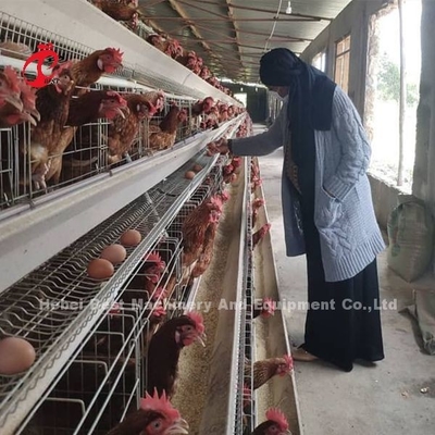 Instrukcja A Frame Layer Battery Cage System Półautomatyczny Emily