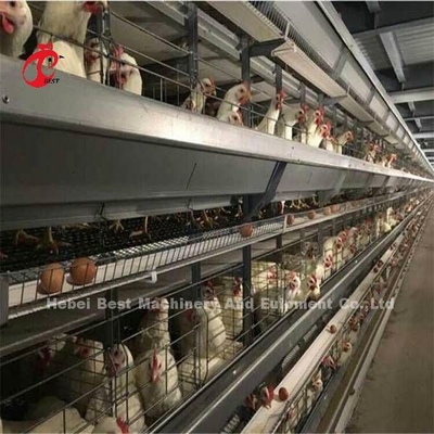 Szeroko stosowana klatka dla drobiu z drutu żelaznego do komercyjnego kurczaka Mia