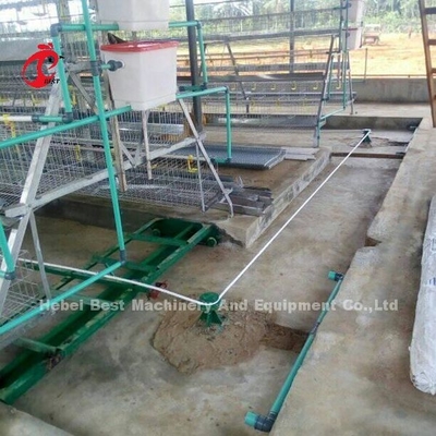 Recyklingowy skrobak systemu przetwarzania obornika 380 V 8 kW do hodowli drobiu Iris