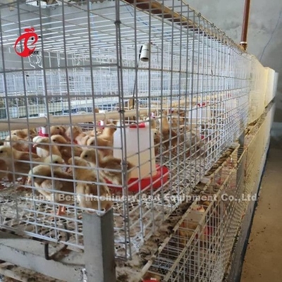 Q235 System klatek do hodowli drobiu Pisklęta brooder Drut stalowy Emily