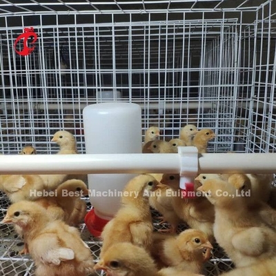 Sprzęt dla gospodarstw drobiarskich H-Type Battery Chicken Cage System For Broiler Mia