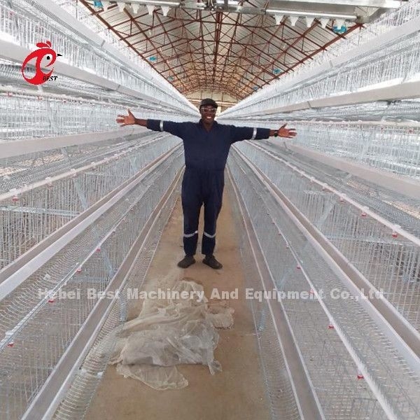 5 Tier 200 Birds Ocynkowany system klatek drobiowych dla hodowli kurczaków Sandy