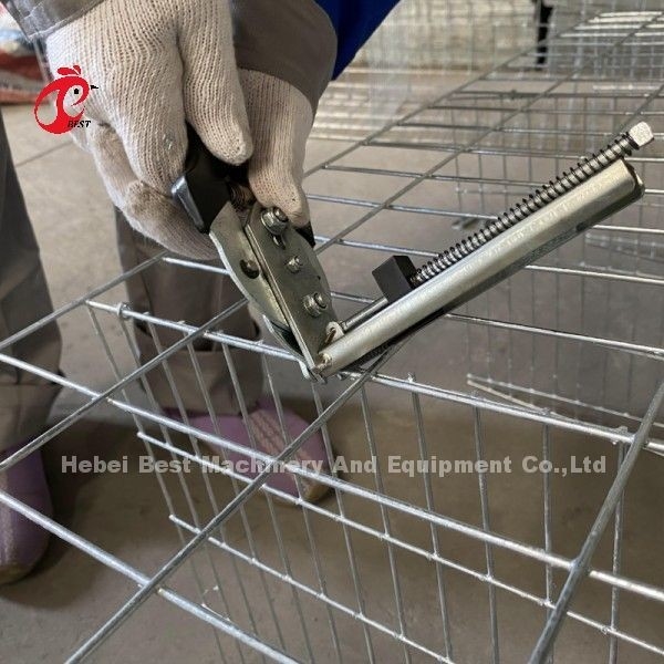 Galwanizowany typ 3 lub 4 kurczak kurczak warstwa bateria klatka dla 45 000 ptaków kurczak kurczak Doris