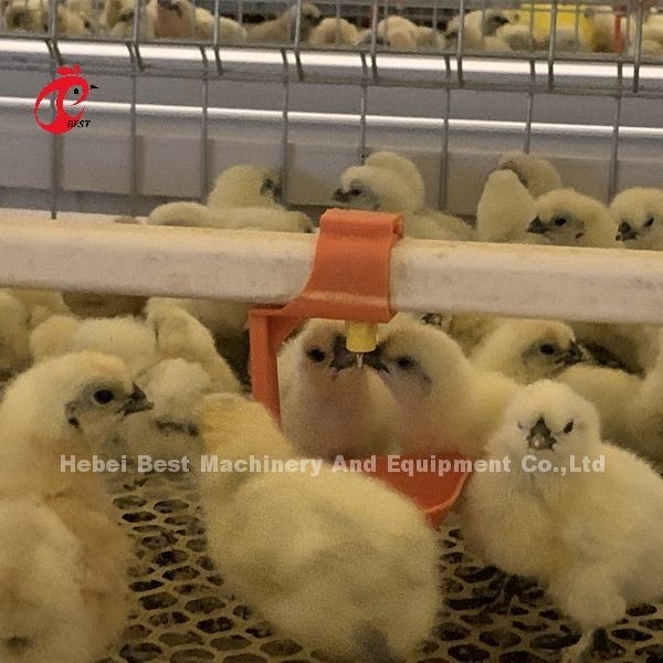 Praktyczny 380V kurczak lęgarka klatka na dzień Stara warstwa hodowcy kurczaków w Afryce Farm Iris