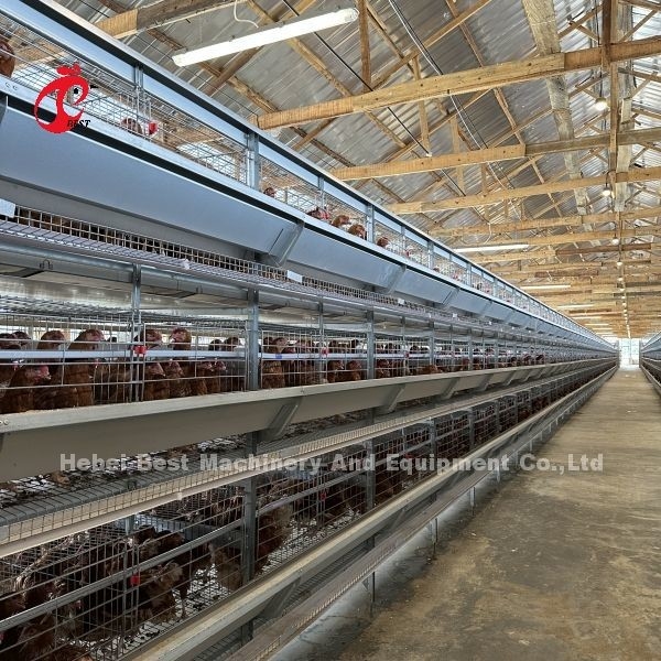 Stalowa klatka bateryjna Q235 dla drobiu Iris o niestandardowym rozmiarze
