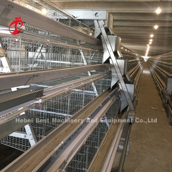 3/4/5 Poziom system klatki bateryjnej dla automatycznej warstwy kurczaków