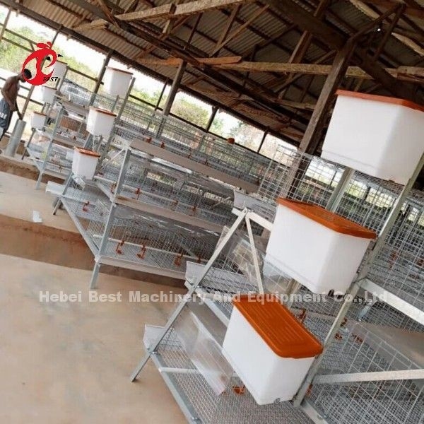 3 lub 4 poziom kurczaków Klatka H Pas ręczne system czyszczenia 2x2x1.6metry Doris