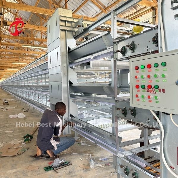System klatki drobiowej typu H/A z automatycznymi pijaczami i karmiarkami Instalacja dla Tanzanii Uganda Ghana Kenia Sandy